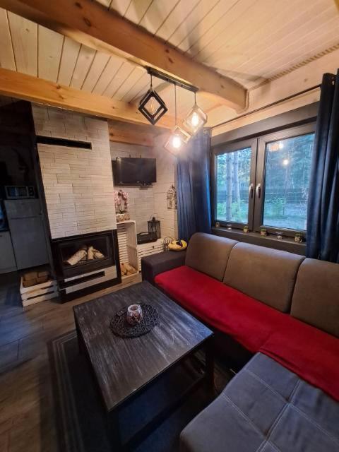 Chalet Bialy